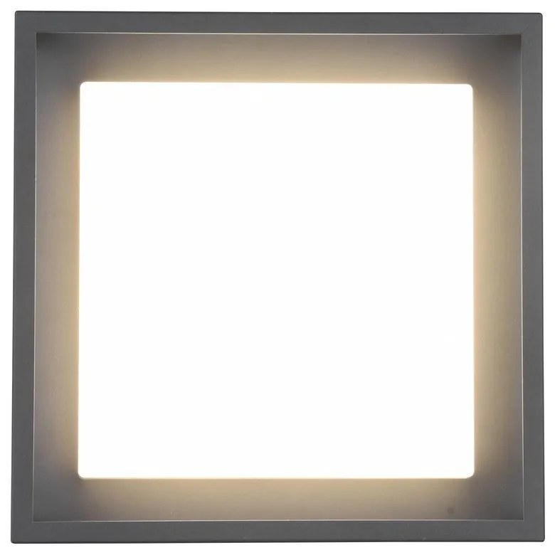 Applique da esterno a LED (altezza 10 cm) Witham - Trio