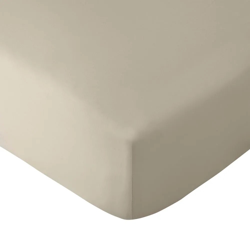 Lenzuolo elasticizzato beige 90x190 cm So Soft Easy Iron - Catherine Lansfield