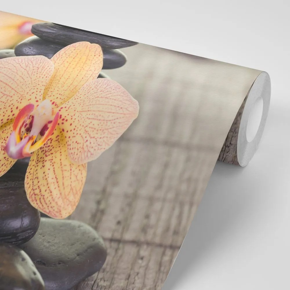 Carta da parati – Orchidee e pietre Zen