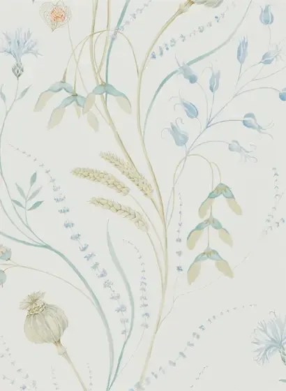 Florale Tapete Summer Harvest von Sanderson - Cornflower