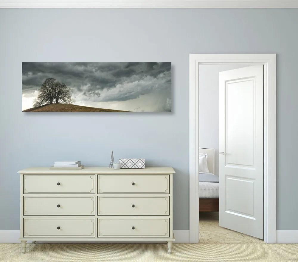 Quadro su tela – Alberi solitari