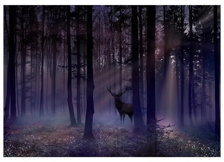 Fotomurale adesivo  Mystical Forest  Second Variant  Larghezza x Altezza Home decor 147x105