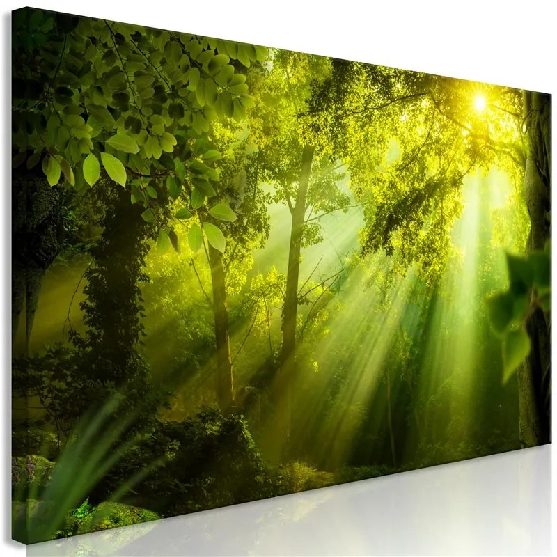 Quadro In the Sunshine (1 Part) Narrow  Colore Giallo, Dimensioni e Misure 120x40