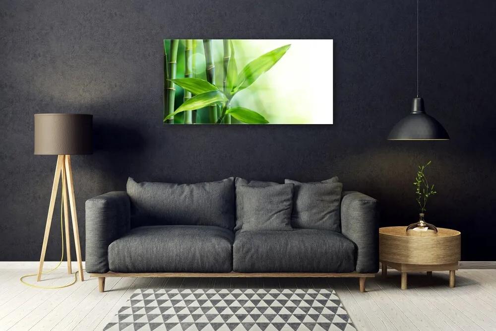 Quadro su vetro acrilico Foglia di bambù Pianta Natura 100x50 cm