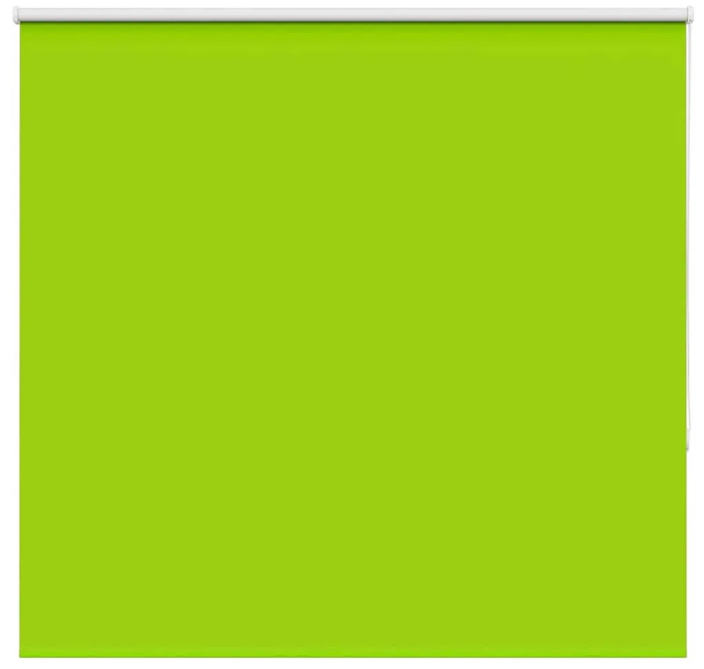 Tenda A Rullo Oscurante 150x150 Cm Larghezza Tessuto 146,6 Cm /