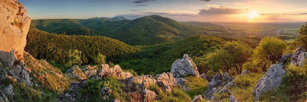 Stampa su tela – Natura baciata dal sole