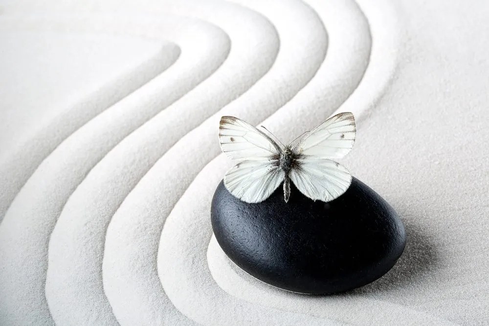 Carta da parati – Pietra Zen con farfalla