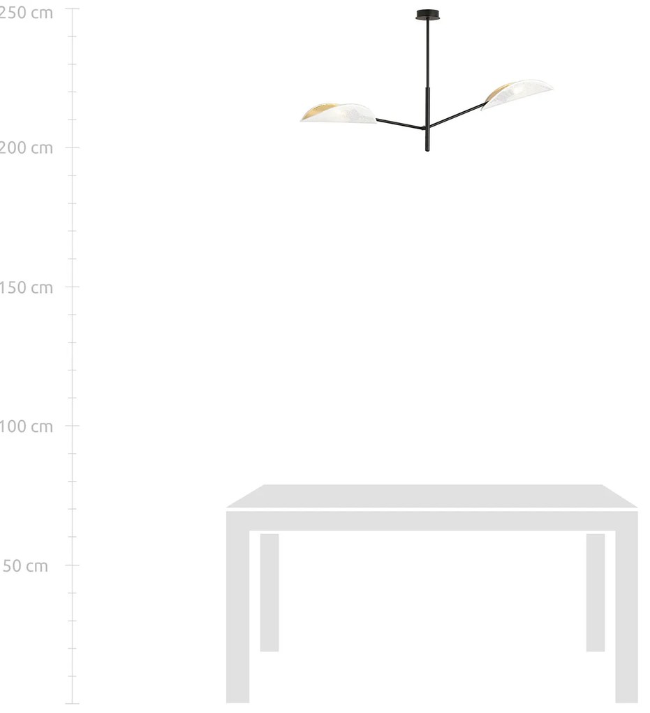 Lampadario 2 Luci Eridano In Acciao Nero E Bianco Oro Con Bracci Mobili