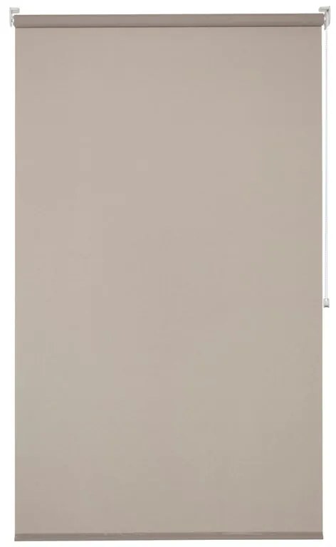 Tenda a rullo screen INSPIRE Screen beige 165x250 cm