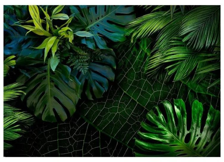 Fotomurale adesivo Dark Jungle