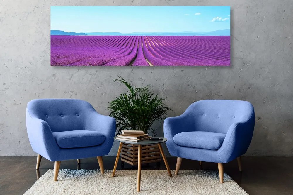 Stampa su tela – Campo di lavanda infinito