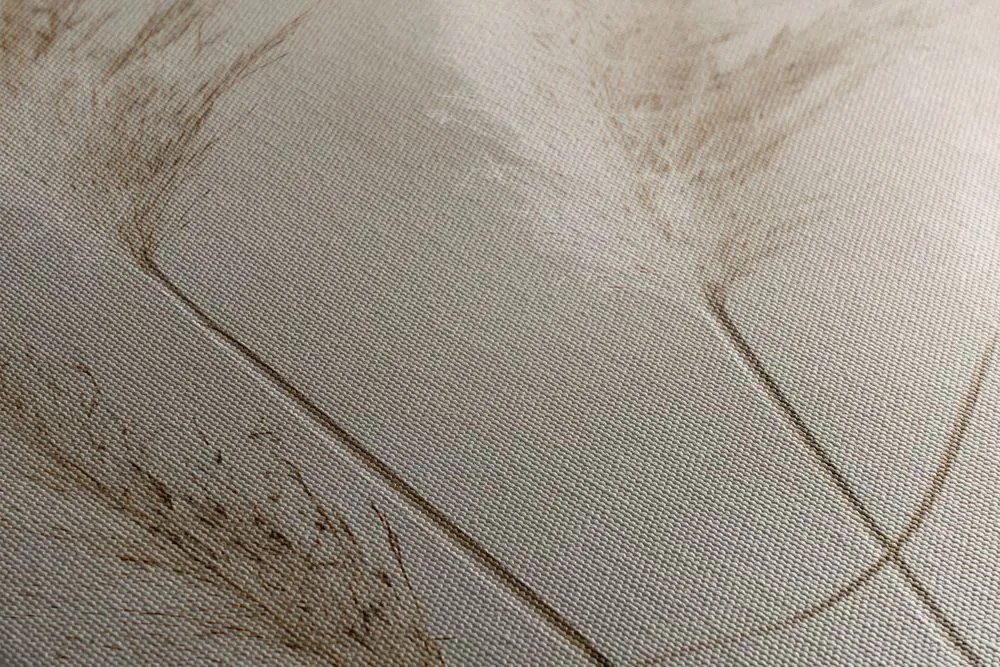 Stampa su tela – Erba pampas secca