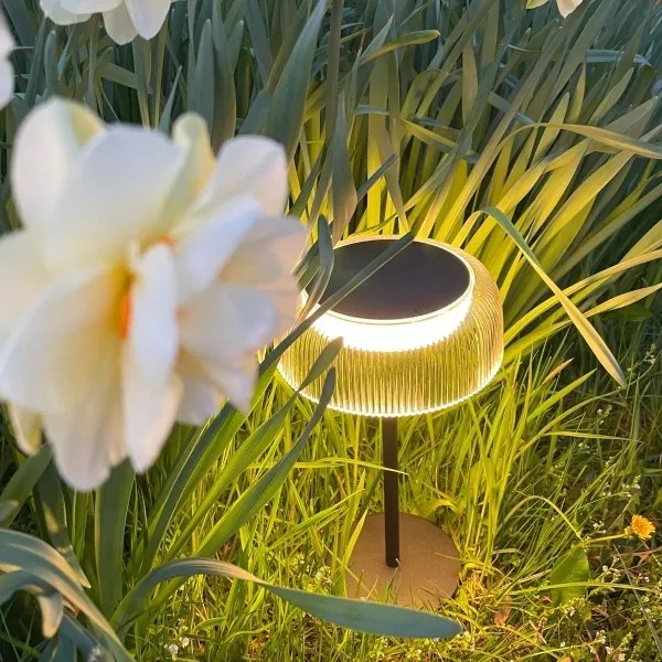 Zuma Line DT33111-LED Lampada solare ricaricabile dimmerabile BLUET LED/2,5W/2000 mAh IP44 nera