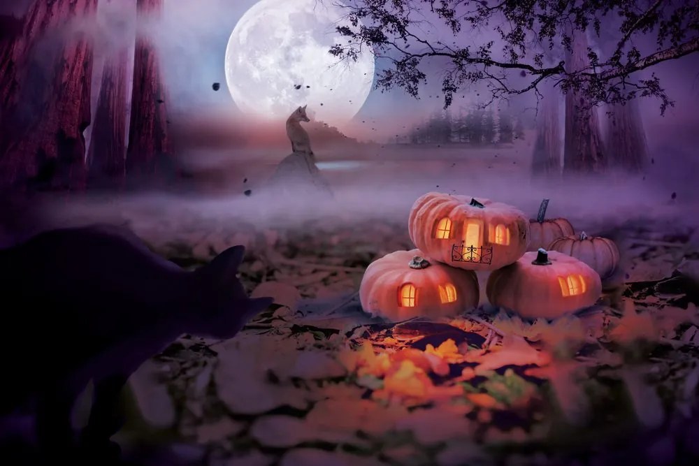 Carta da parati – Zucche nel bosco misterioso
