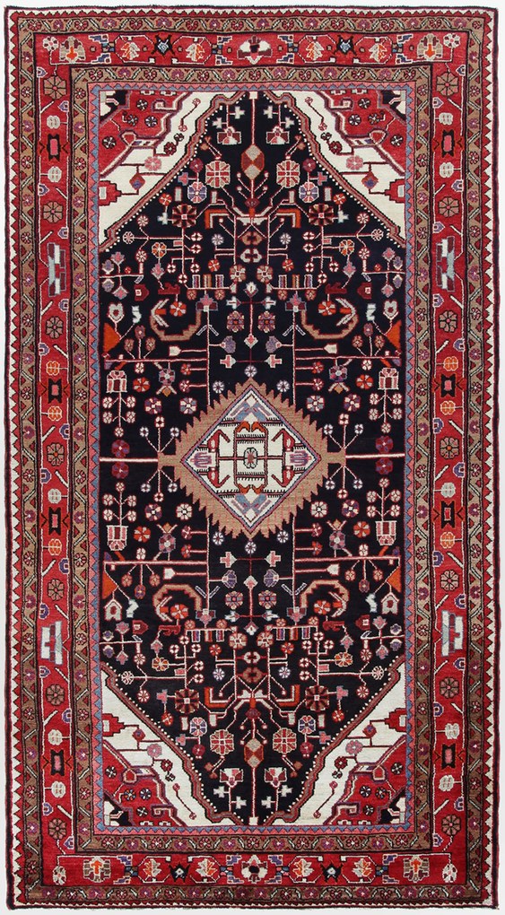 Hamedan Tappeto persiano 310 x 160 (Iran) Annodato A Mano