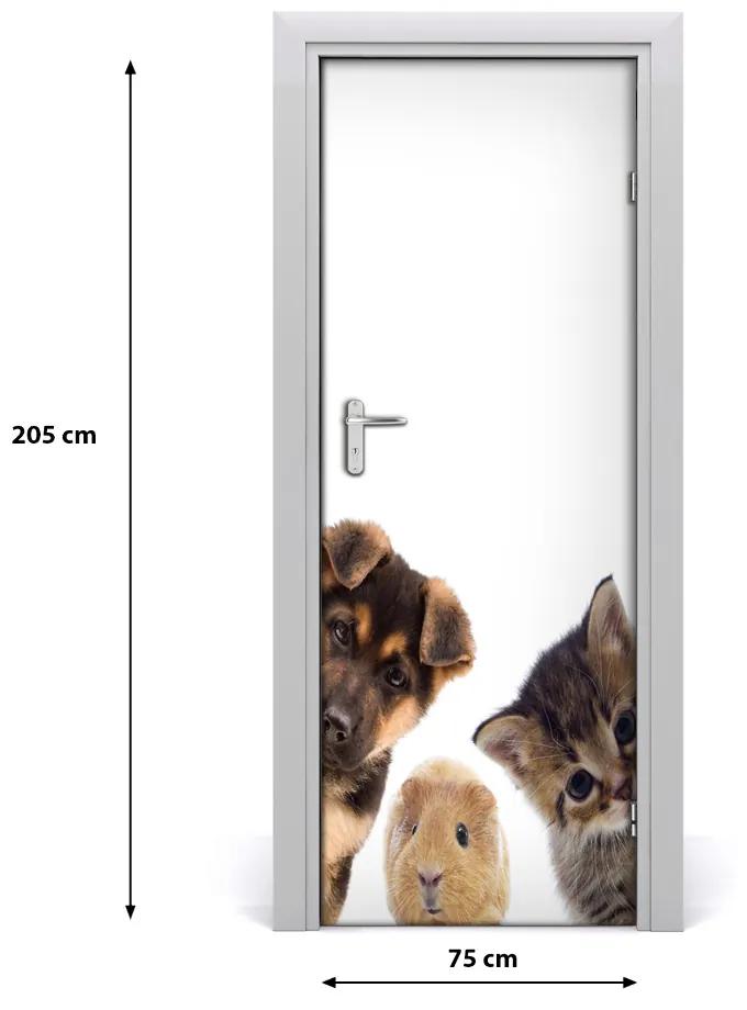 Adesivo per porta Animali domestici 75x205 cm