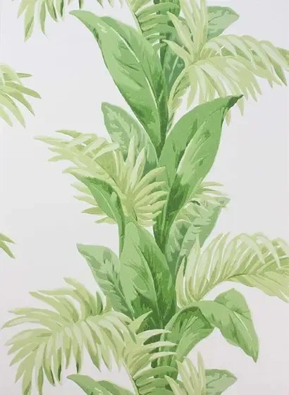 Nina Campbell Carta da parati Palmetto - Green/ Ivory