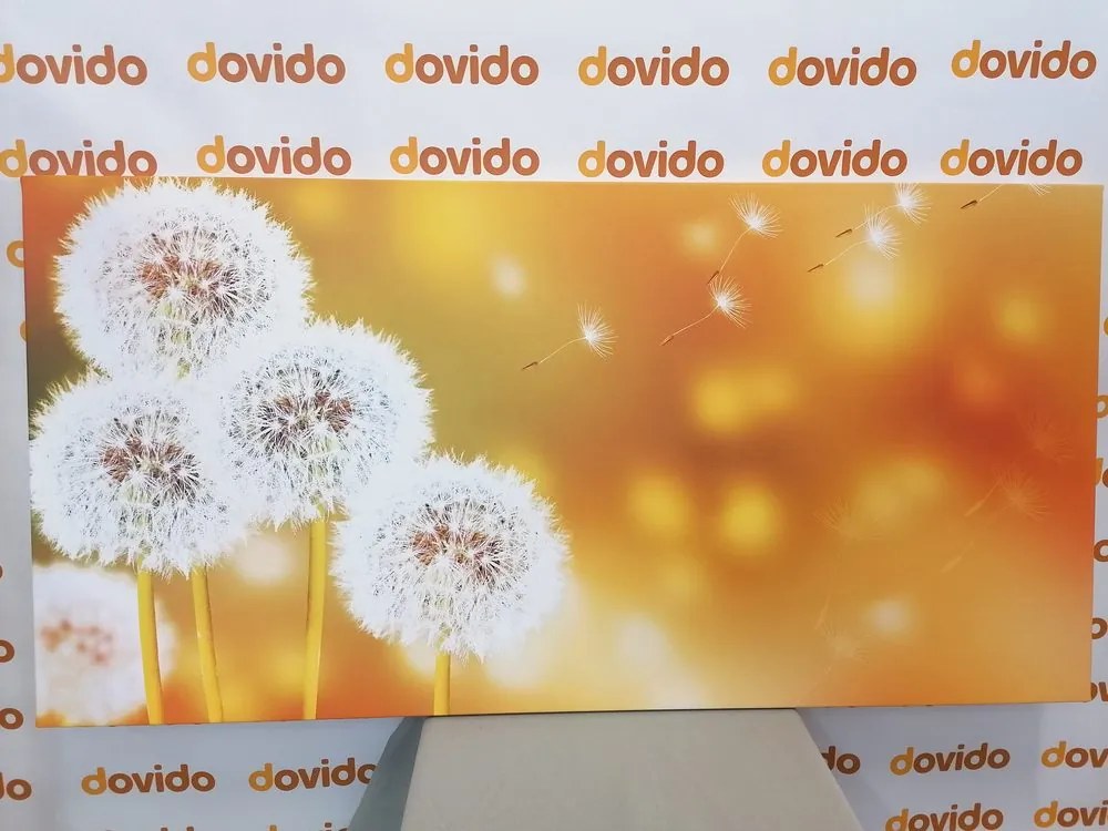 Stampa su tela – Dente di leone soffice