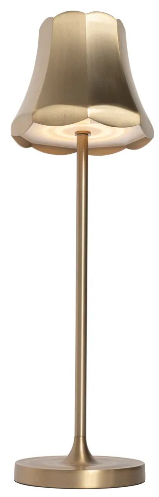 Set di 2 lampade da tavolo retrò oro rosa ricaricabili IP44 - Granny