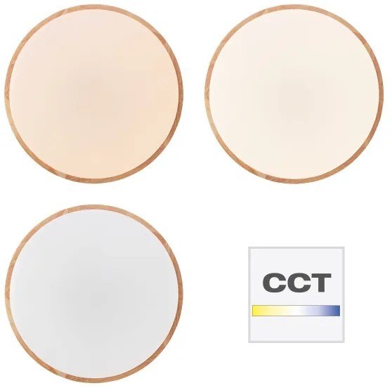 Brilliant - Plafoniera dimmerabile a LED SLIMLINE LED/60W/230V + telecomando