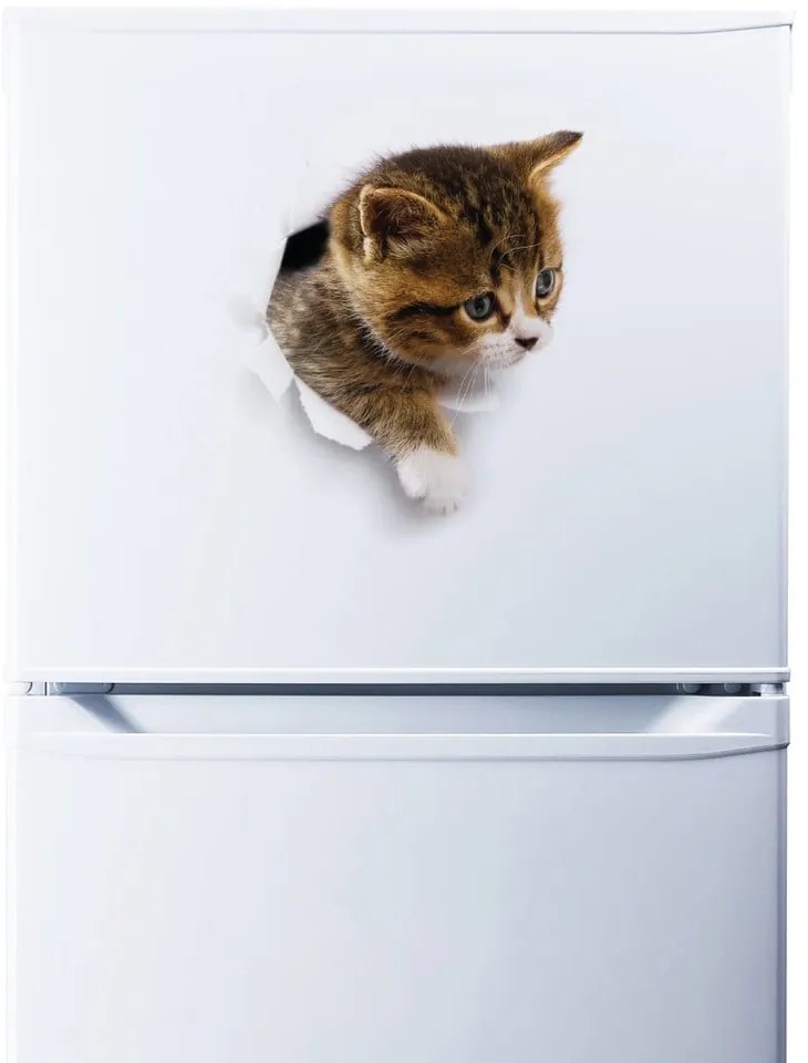 Adesivo murale Gatto che si nasconde - Ambiance