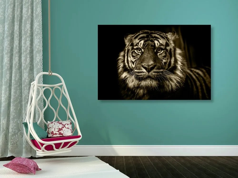 Stampa su tela – Tigre in seppia
