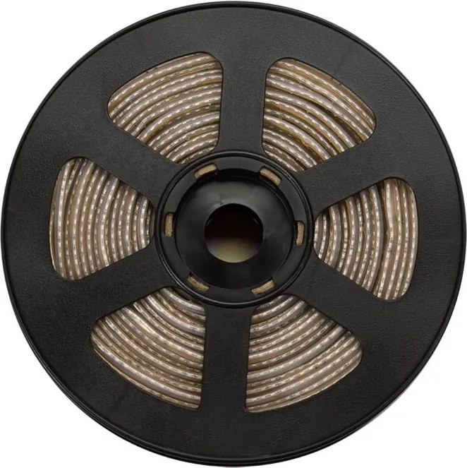 Striscia LED 220V 16W/m IP66 Dimmerabile Professional - Taglio 10cm – 50m