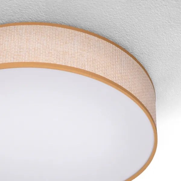 Brilagi - Lampada da soffitto dimmerabile CARMEN LED/48W/230V 3000-6500K + DO