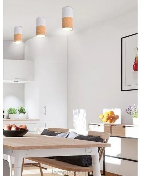 Plafoniera TUBA 1xGU10/50W/230V bianco