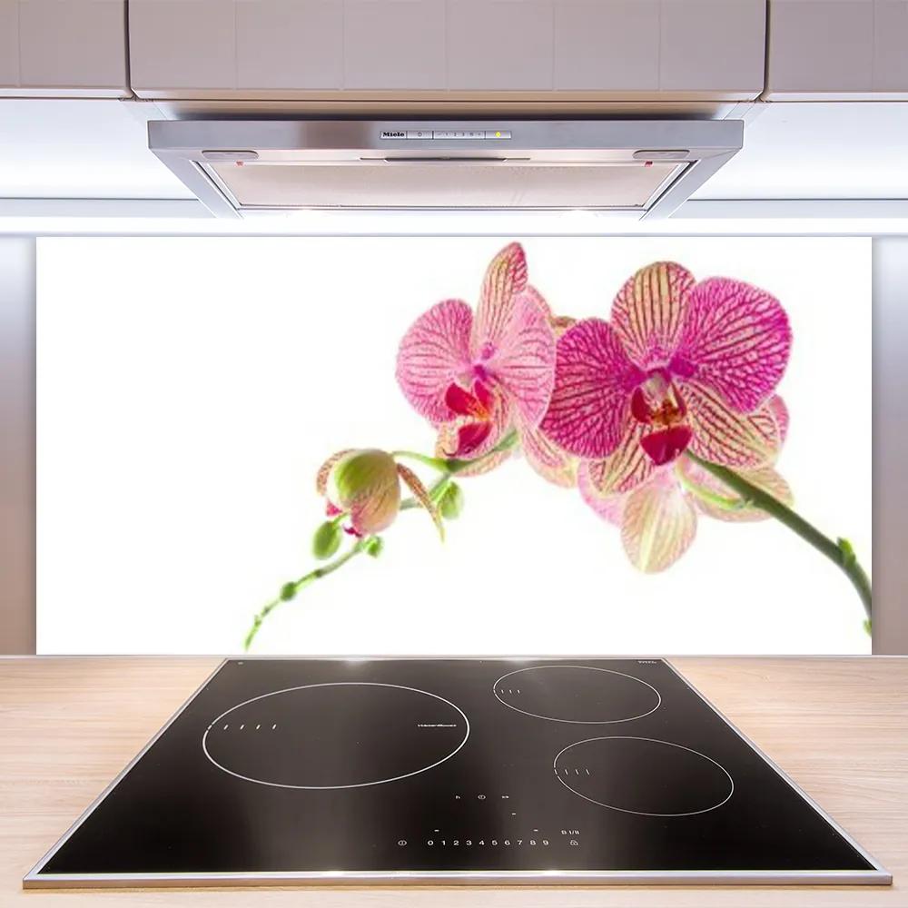 Pannello paraschizzi cucina I fiori della pianta 100x50 cm
