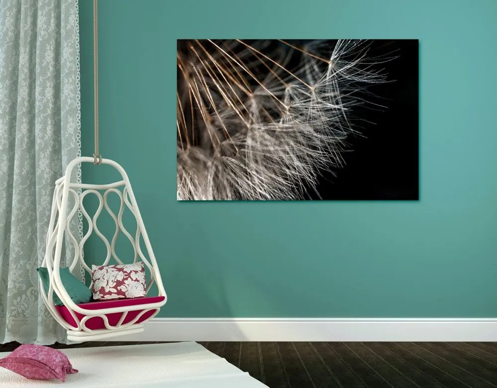 Quadro su tela – Bellezza del soffione