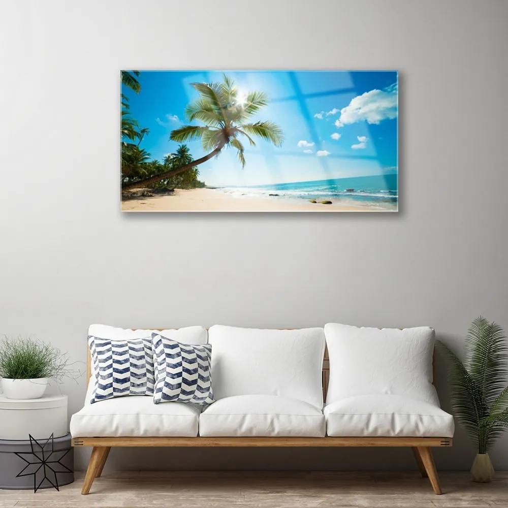 Quadro vetro acrilico Paesaggio della spiaggia della palma 100x50 cm