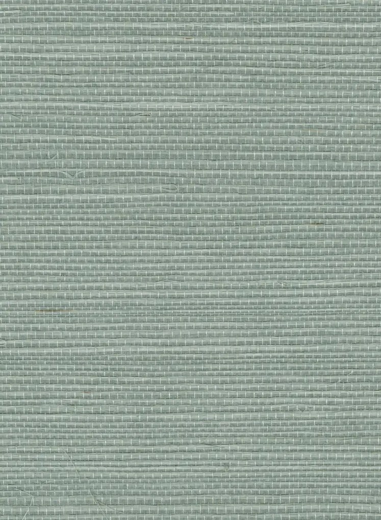 Élitis Tapete Sisal - RM 1069 40