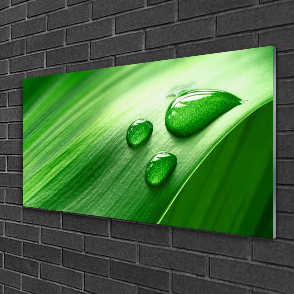 Quadro su vetro Gocce d'acqua di foglie 100x50 cm 2 appendini