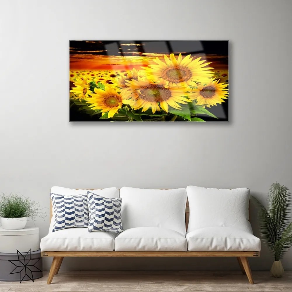 Quadro in vetro Pianta di girasole 100x50 cm