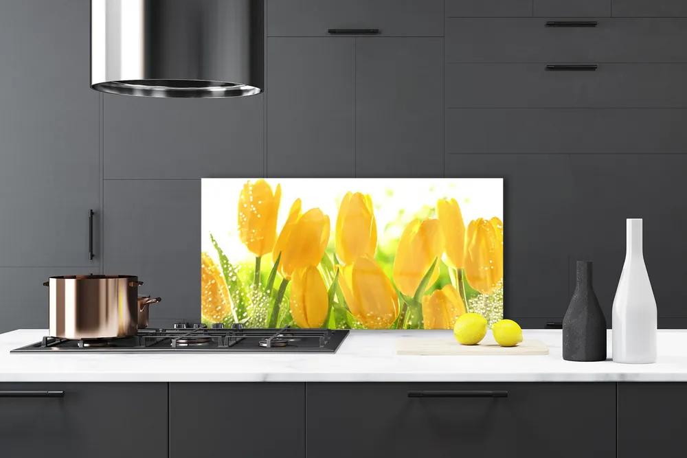 Schienali cucina Tulipani, fiori, piante 100x50 cm