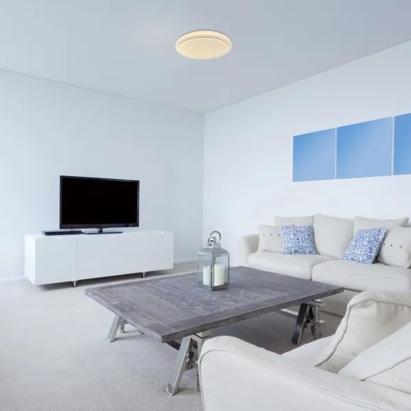 Rabalux 71183 - Plafoniera LED TREVOR LED/24W/230V 3000K diametro 38 cm