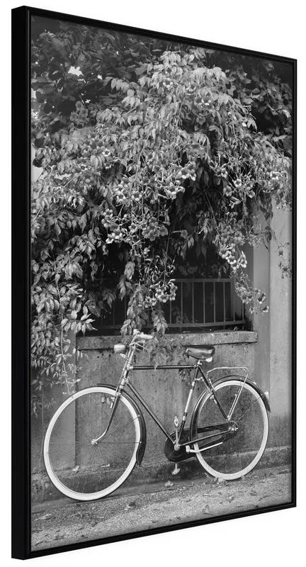 Poster Bicycle with White Tires