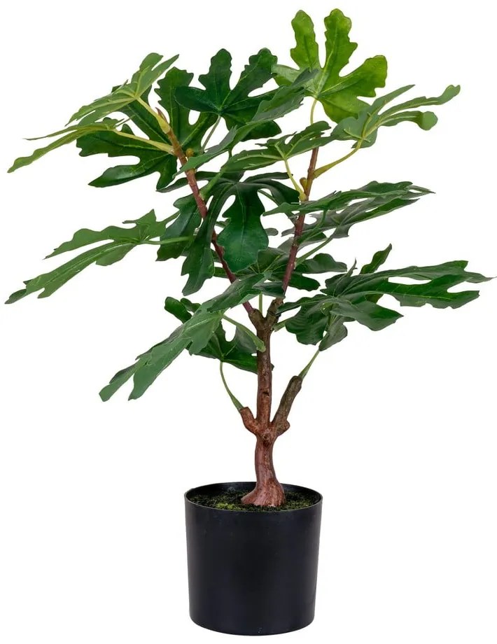 Pianta finta (altezza totale 60 cm) Fig – House Nordic