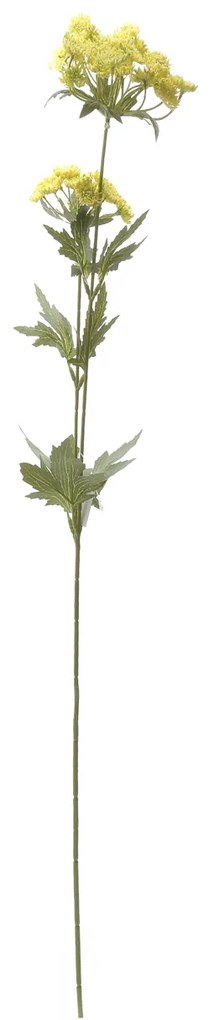 Daucus carota Eden, fiore sintetico, da 76 cm