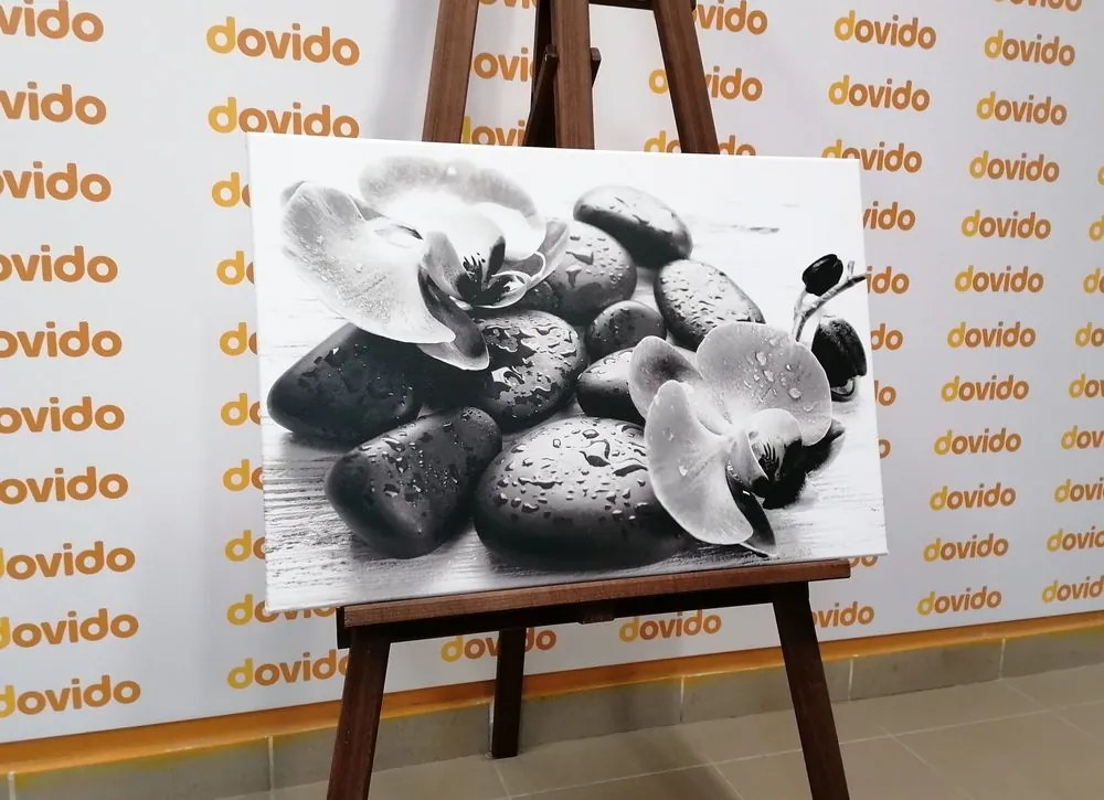 Quadro su tela – Bella armonia di pietre e orchidee in bianco e nero