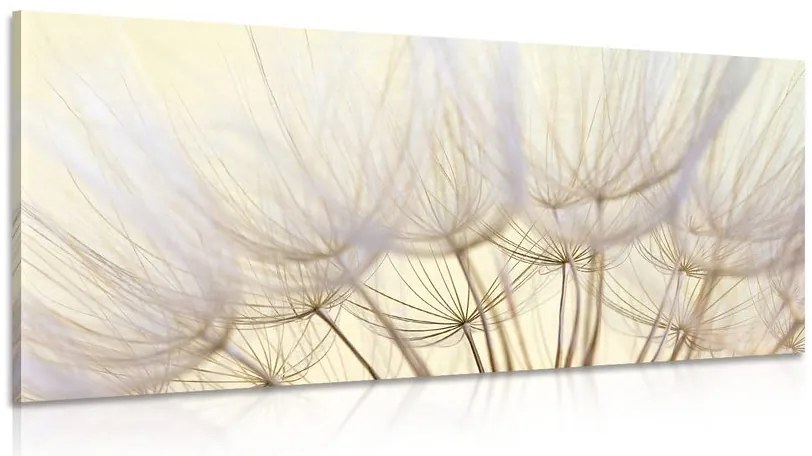 Quadro su tela – Semi di soffione