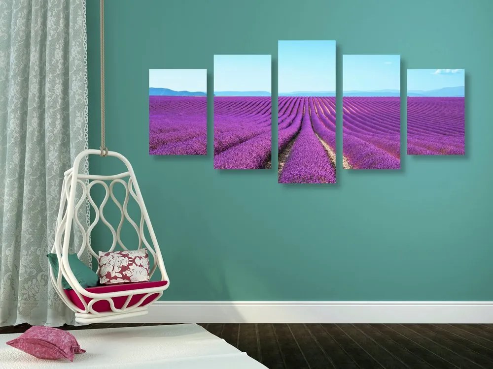 Quadri 5 pezzi – Campo di lavanda infinito