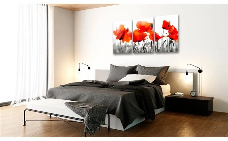 Quadro Charming Poppies  Colore Grigio, Dimensioni e Misure 60x30