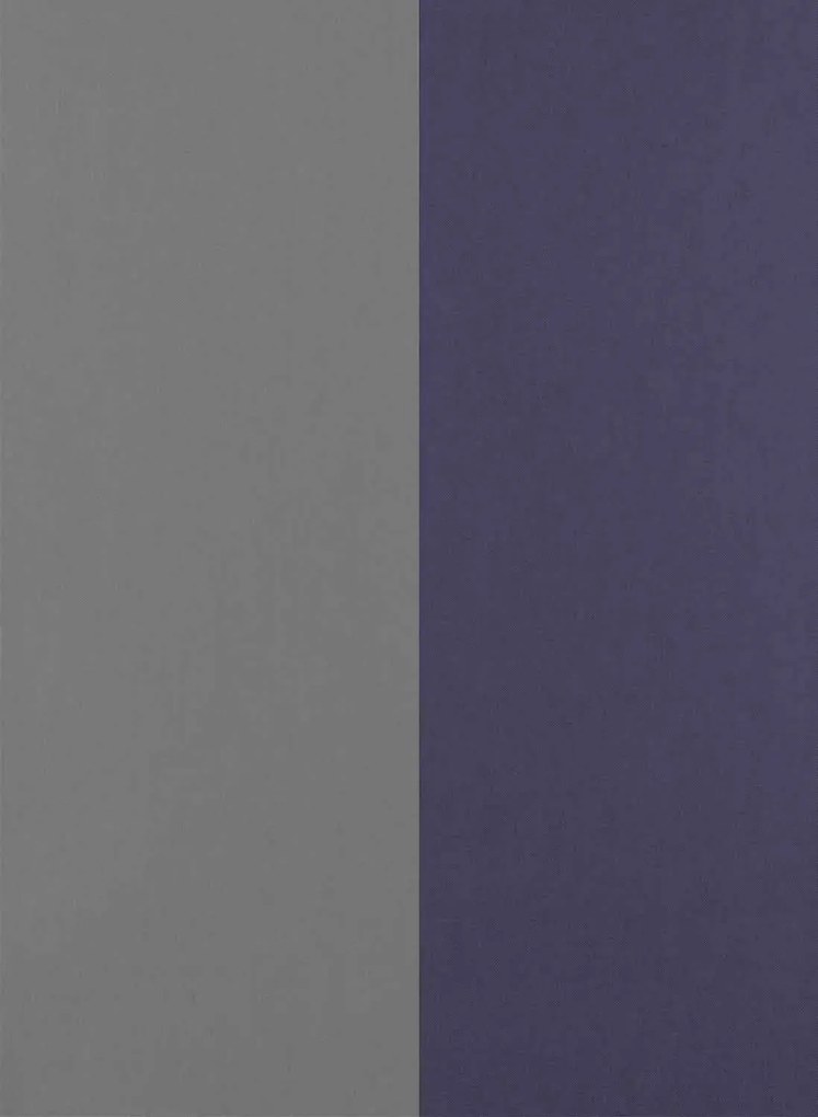 Flamant Carta da parati Grande Stripe - Dauphin et Nocturne
