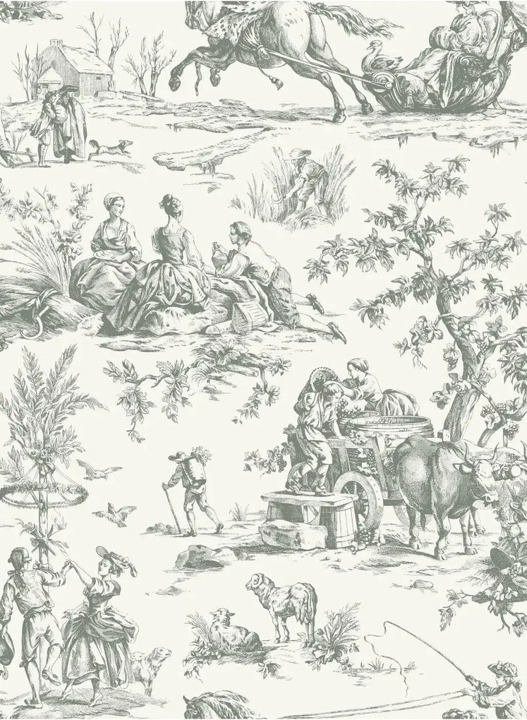 Coordonne Carta da parati Bucolic Toile - Steel