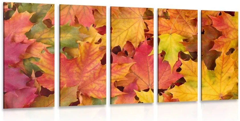 Quadri 5 pezzi – Foglie d'autunno