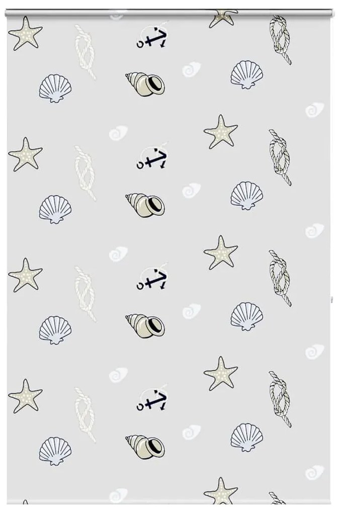 Tenda A Rullo Doccia Cassonetto 160x240 Cm Larghezza Tessuto /