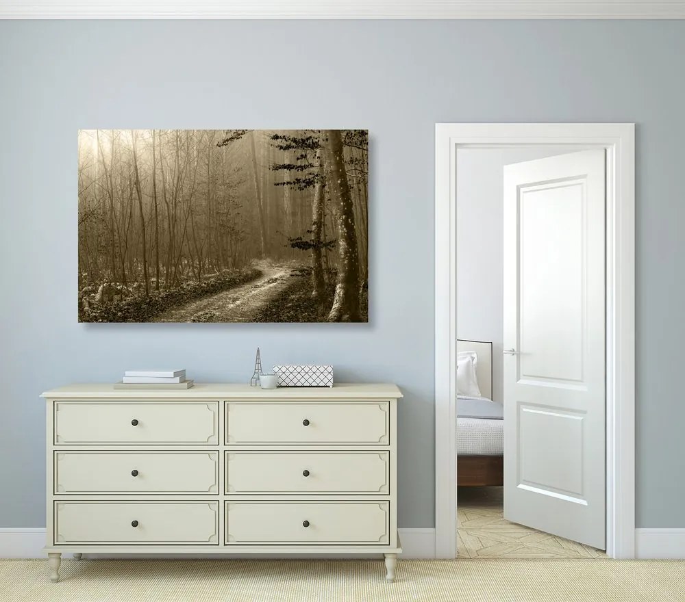 Quadro su tela – Sentiero nella foresta in seppia
