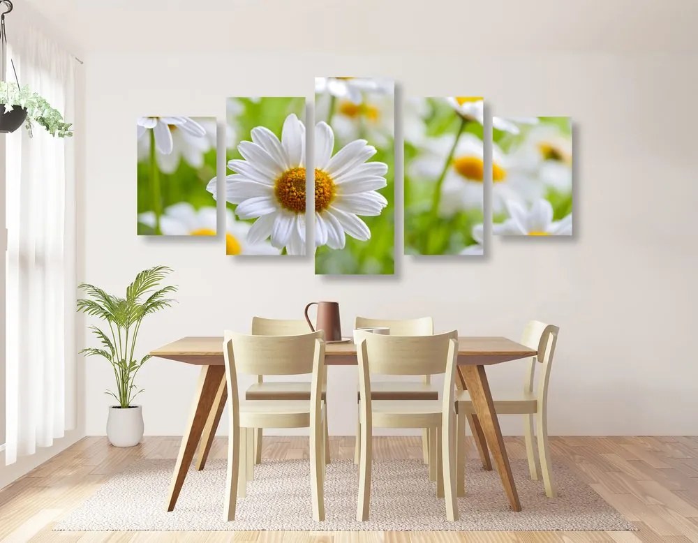 Quadri 5 pezzi – Prato primaverile pieno di fiori